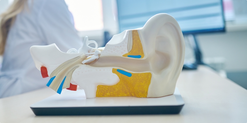 Macomb Audiology & Hearing Aid Center Blog